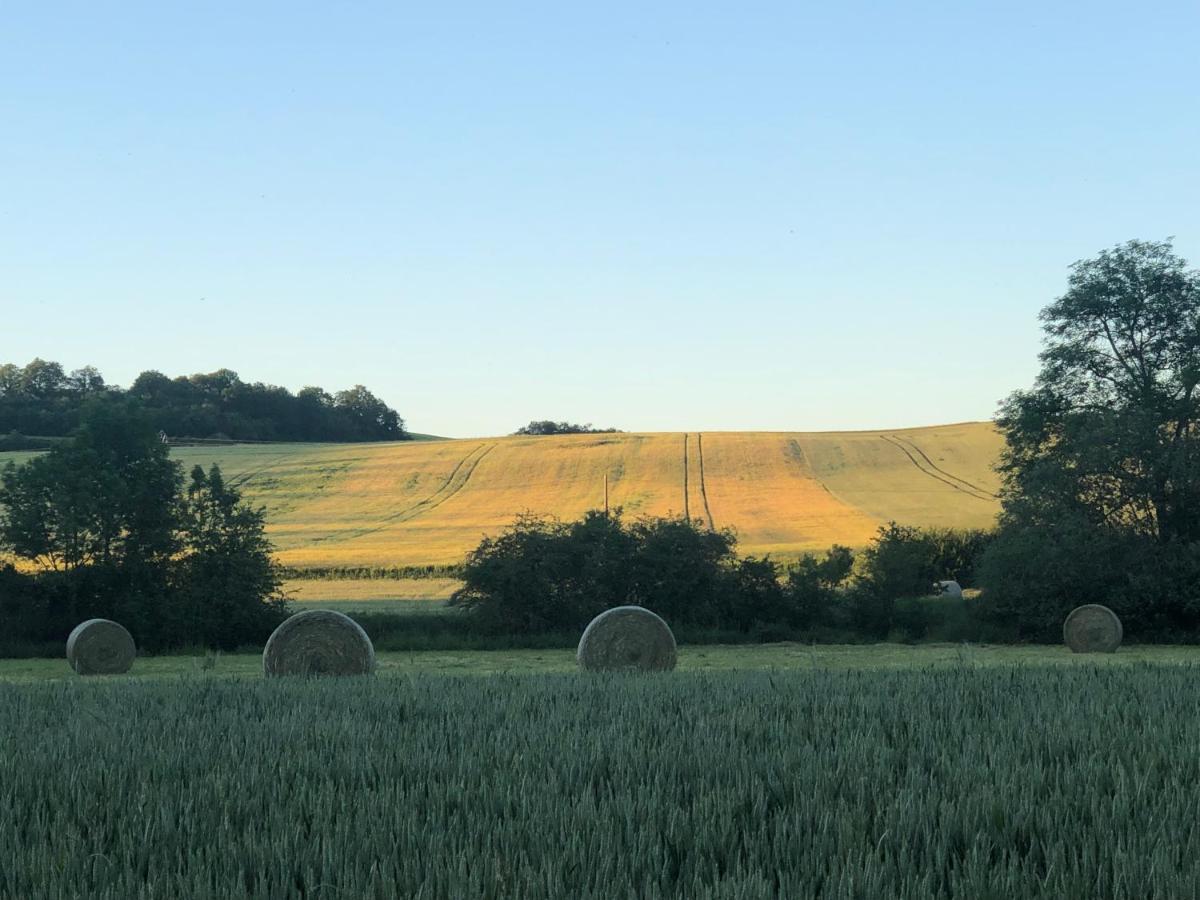 Maison Au Bord De L'Eau Annay-sur-Serein Bagian luar foto